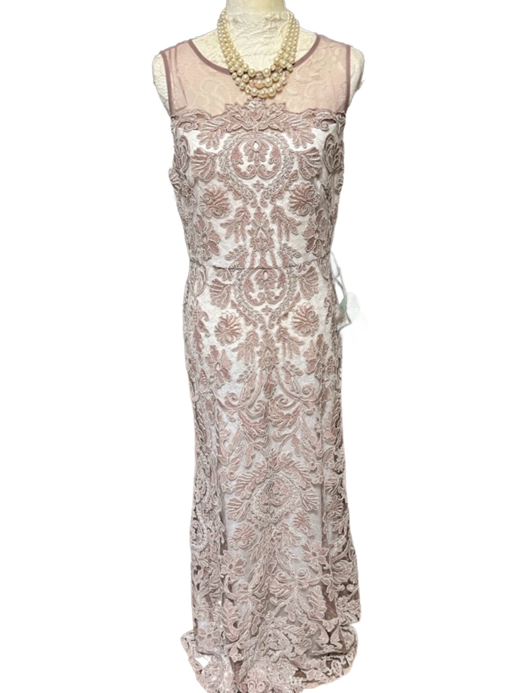 Alex Evenings Taupe Tan Lace Maxi Evening Gown Size 8 Nwt
